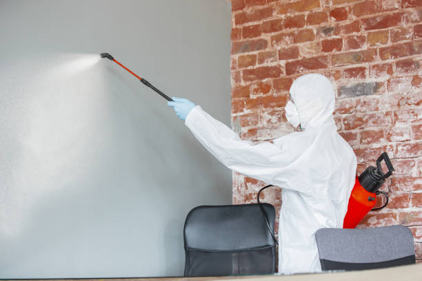 Best Mold Remediation for Healthcare Facilities  in Holtville, AL