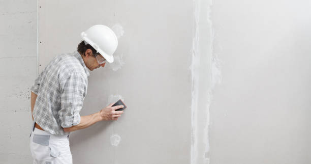 Best Mold Damage Restoration  in Holtville, AL