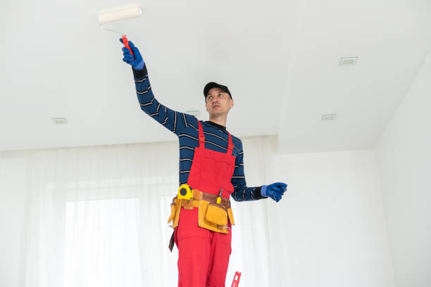 Best Black Mold Removal  in Holtville, AL