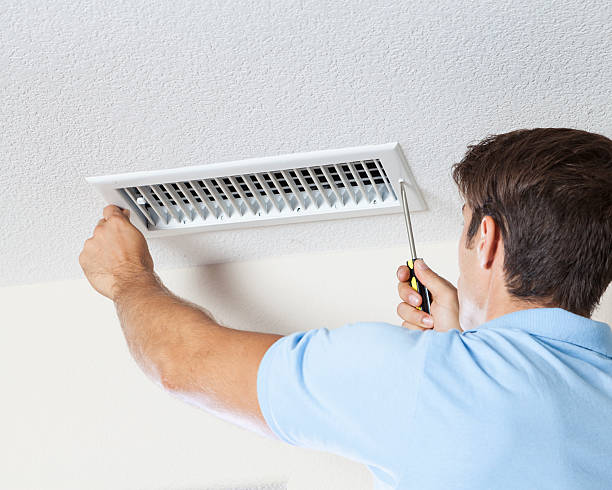  Holtville, AL Mold Removal Pros