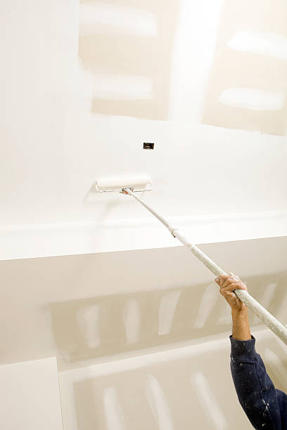 Best Post-Construction Mold Inspection  in Holtville, AL