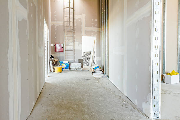 Best Air Quality Testing for Mold Spores  in Holtville, AL