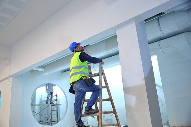 Best Mold Prevention Services  in Holtville, AL