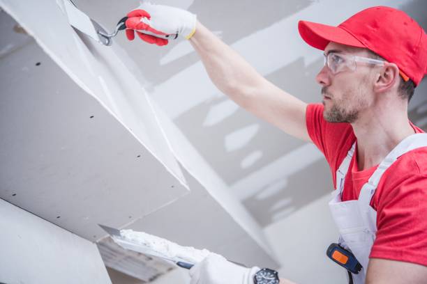 Best Airborne Mold Testing  in Holtville, AL