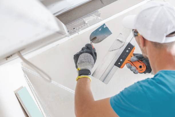 Best Mold Remediation for Rental Properties  in Holtville, AL